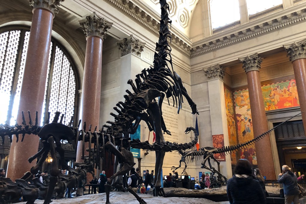 アメリカ自然史博物館の館内の写真