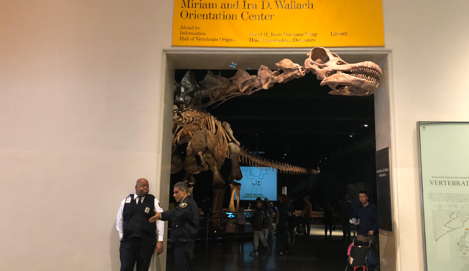 アメリカ自然史博物館の写真