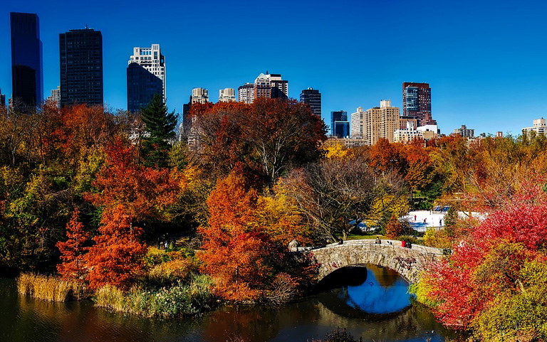 セントラルパークの紅葉