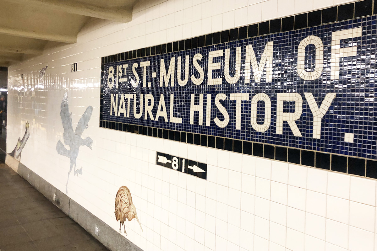 American Museum of Natural History（自然史博物館）の地下鉄の写真