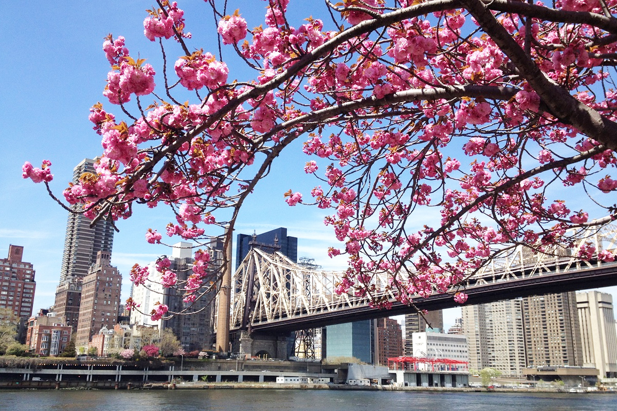 春のニューヨークの街並み
